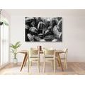 CANVAS PRINT HANGING PASTRIES ON A ROPE IN BLACK AND WHITE - BLACK AND WHITE PICTURES - PICTURES