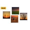 CANVAS PRINT SET ROMANTIC SUNSET ON A MEADOW - SET OF PICTURES - PICTURES