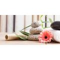 CANVAS PRINT MEDITATION AND WELLNESS STILL LIFE - PICTURES FENG SHUI - PICTURES