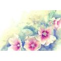 WALLPAPER WATERCOLOR ILLUSTRATION OF FLOWERS - WALLPAPERS FLOWERS - WALLPAPERS