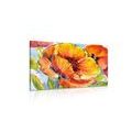 CANVAS PRINT BOUQUET OF POPPY FLOWERS - PICTURES FLOWERS - PICTURES