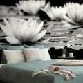 WALL MURAL BLACK AND WHITE LOTUS FLOWER - BLACK AND WHITE WALLPAPERS - WALLPAPERS