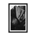 POSTER MIT PASSEPARTOUT BLATT DER MONSTERA IN SCHWARZ-WEISS - SCHWARZ-WEISS - POSTER