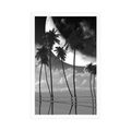 POSTER SUNSET OVER TROPICAL PALM TREES IN BLACK AND WHITE - BLACK AND WHITE - POSTERS