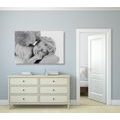 CANVAS PRINT BLACK AND WHITE SLEEPING ANGEL - BLACK AND WHITE PICTURES - PICTURES