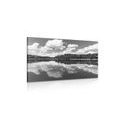 CANVAS PRINT NATURE IN SUMMER IN BLACK AND WHITE - BLACK AND WHITE PICTURES - PICTURES