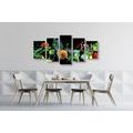 5-PIECE CANVAS PRINT ORGANIC FRUITS AND VEGETABLES - PICTURES OF FOOD AND DRINKS - PICTURES