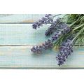 CANVAS PRINT LAVENDER ON A WOODEN BACKGROUND - PICTURES FLOWERS - PICTURES