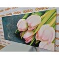 CANVAS PRINT PASTEL PINK TULIPS - PICTURES FLOWERS - PICTURES