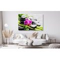 QUADRO NATURA MORTA SPA CON ORCHIDEA VIOLA - QUADRI FENG SHUI - QUADRI