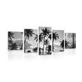 5-PIECE CANVAS PRINT COCONUT TREES ON A BEACH IN BLACK AND WHITE - BLACK AND WHITE PICTURES - PICTURES