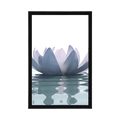 POSTER FLOARE DE LOTUS - FLORI - POSTERE