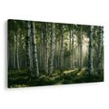 TABLEAU SUR TOILE – FORÊT DE BOULEAUX À L’AUBE - TABLEAUX FORÊT - TABLEAUX