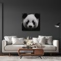 WANDBILD PANDA AUF SCHWARZEM HINTERGRUND - BILDER TIERE - BILDER