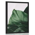 POSTER – FOGLIA DI MONSTERA AFFASCINANTE - FIORI - POSTER