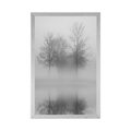 POSTER TREES IN THE FOG IN BLACK AND WHITE - BLACK AND WHITE - POSTERS