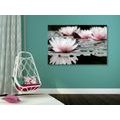 CANVAS PRINT LOTUS FLOWER - PICTURES FLOWERS - PICTURES