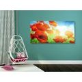 CANVAS PRINT POPPIES IN THE MEADOW - PICTURES FLOWERS - PICTURES