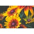 PAPIER PEINT AUTOCOLLANT FLEURS BICOLORES - PAPIERS PEINTS AUTOCOLLANTS - PAPIER PEINT