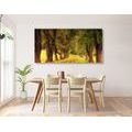 CANVAS PRINT TRAIL THROUGH THE AUTUMN FOREST - PICTURES OF NATURE AND LANDSCAPE - PICTURES