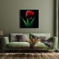 OBRAZ KVĚT TULIPÁNU V NOCI - OBRAZY TULIPÁN - OBRAZY