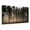 TABLEAU SUR TOILE – FORÊT DE PINS BRUMEUSE À L’AUBE - TABLEAUX FORÊT - TABLEAUX
