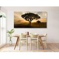 CANVAS PRINT ELEPHANT AT SUNRISE - PICTURES OF ANIMALS{% if product.category.pathNames[0] != product.category.name %} - PICTURES{% endif %}