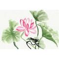 SAMOLEPÍCÍ TAPETA AKVARELOVÝ LOTOSOVÝ KVĚT - SAMOLEPÍCÍ TAPETY - TAPETY
