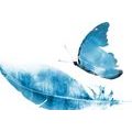 CANVAS PRINT FEATHER WITH A BUTTERFLY IN BLUE DESIGN - STILL LIFE PICTURES - PICTURES