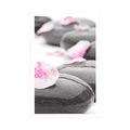 POSTER WELLNESS STONES WITH PETALS - FENG SHUI - POSTERS