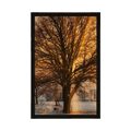 POSTER BAUM IN VERSCHNEITER LANDSCHAFT - NATUR - POSTER