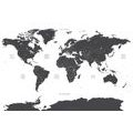 CANVAS PRINT WORLD MAP WITH INDIVIDUAL STATES IN GRAY COLOR - PICTURES OF MAPS - PICTURES