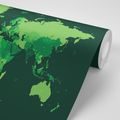 CARTA DA PARATI ADESIVA MAPPA DETTAGLIATA DEL MONDO IN VERDE - CARTA DA PARATI AUTOADESIVE - CARTA DA PARATI