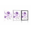 POSTER FLOWERS WITH ABSTRACT BACKGROUND - ABSTRACT AND PATTERNED - POSTERS