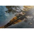 CANVAS PRINT TREE UNDER A STARRY SKY - PICTURES OF NATURE AND LANDSCAPE - PICTURES