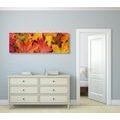 CANVAS PRINT AUTUMN LEAVES - PICTURES OF NATURE AND LANDSCAPE - PICTURES