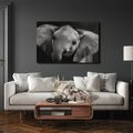 OBRAZ SLONÍ MLÁDĚ V DETAILU - OBRAZY SLONI - OBRAZY