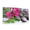 CANVAS PRINT BLOOMING ORCHID AND WELLNESS STONES - PICTURES FENG SHUI - PICTURES