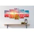 5-PIECE CANVAS PRINT SUNRISE OVER A TULIP MEADOW - PICTURES FLOWERS - PICTURES