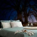 SELF ADHESIVE WALLPAPER TREES IN A NIGHT LANDSCAPE - SELF-ADHESIVE WALLPAPERS - WALLPAPERS
