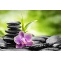 SELF ADHESIVE WALL MURAL MEDITATIVE ZEN COMPOSITION - SELF-ADHESIVE WALLPAPERS - WALLPAPERS