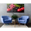 CANVAS PRINT OF A SOOTHING ZEN STILL LIFE - PICTURES FENG SHUI - PICTURES