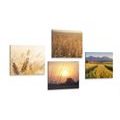 CANVAS PRINT SET MAGIC OF NATURE - SET OF PICTURES - PICTURES