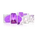 5-PIECE CANVAS PRINT ORCHID ON AN ABSTRACT BACKGROUND - PICTURES FLOWERS - PICTURES