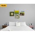 CANVAS PRINT SET MEADOW FULL OF FLOWERS - SET OF PICTURES - PICTURES