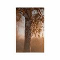 POSTER NEBLIGER HERBSTWALD - NATUR - POSTER