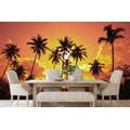 SELF ADHESIVE WALLPAPER COCONUT PALMS ON THE BEACH - SELF-ADHESIVE WALLPAPERS - WALLPAPERS