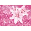 SELF ADHESIVE WALL MURAL LILY IN A PINK DRESS - SELF-ADHESIVE WALLPAPERS - WALLPAPERS