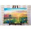 CANVAS PRINT OIL PAINTING OF MEADOW FLOWERS - PICTURES OF NATURE AND LANDSCAPE - PICTURES