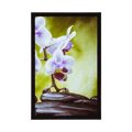 POSTER ZEN-STEINE UND ORCHIDEE - FENG SHUI - POSTER